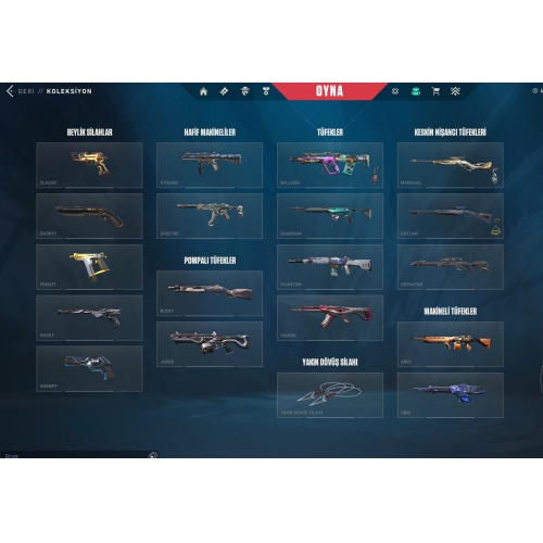  20000tl+ değeri olan hesap 325lvl